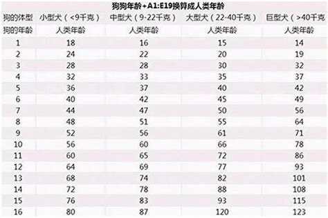 属狗的今年几岁|2024属狗的年龄表 属狗年龄查询表2024年